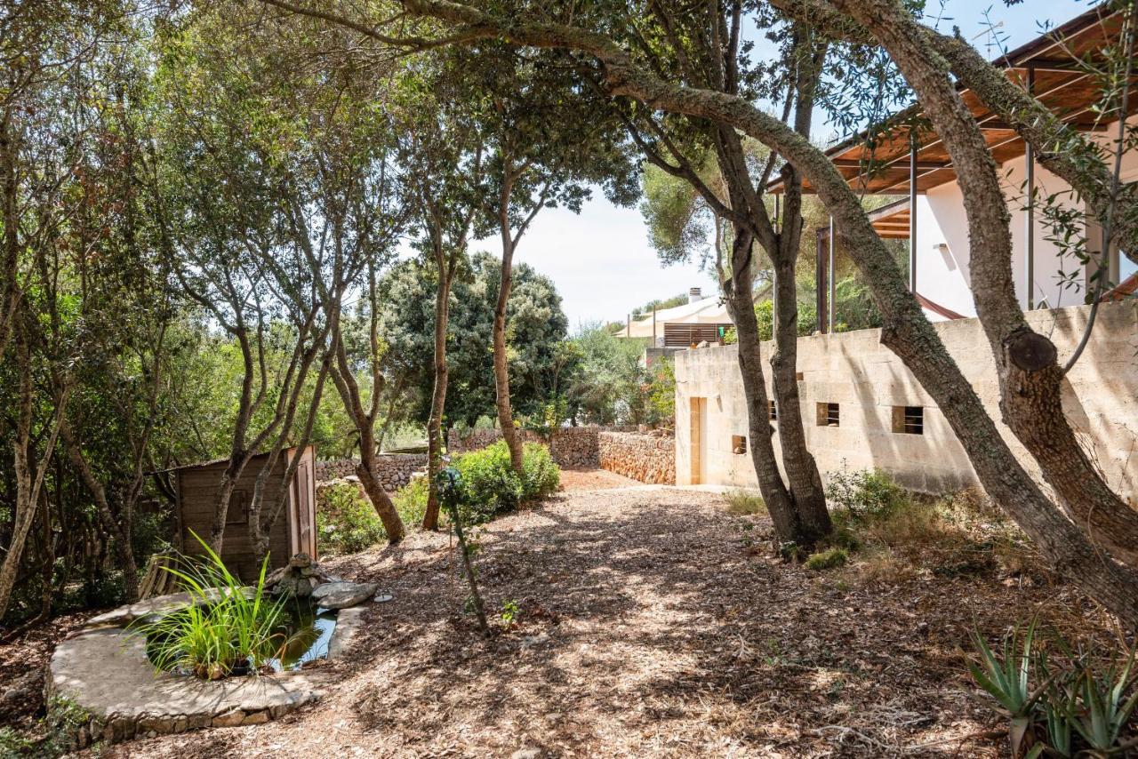 Casa Sarg Dorat- Nou Holiday home *